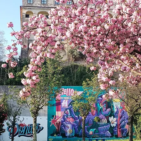 Apartment Da Zi'anna
